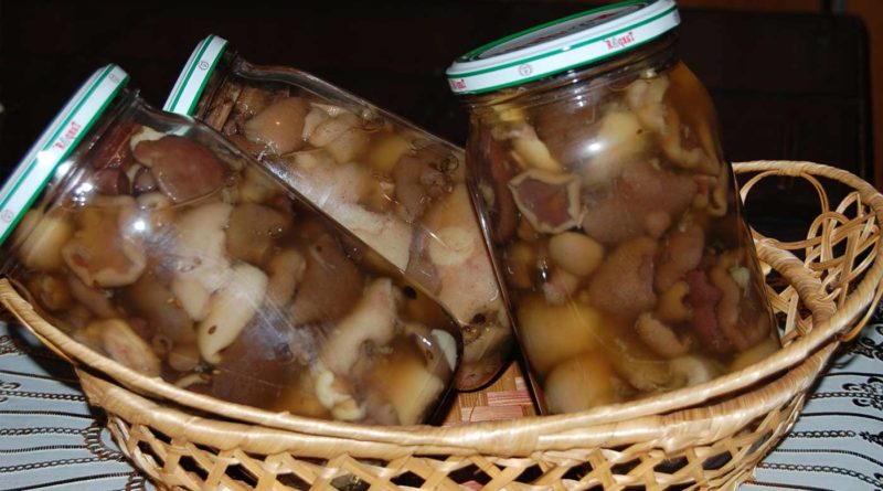 Заготовка грибов на зиму — рецепты приготовления маринованных, сушеных, и квашеных грибов